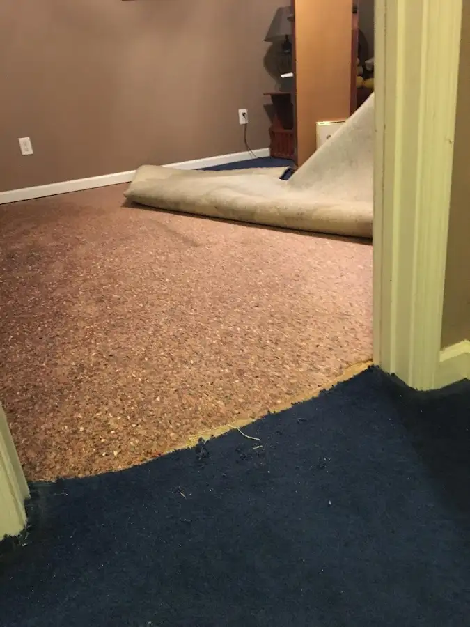 Carpet pad removal revealing water damage during Water Mitigation Services in Apple Valley